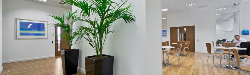 office watford